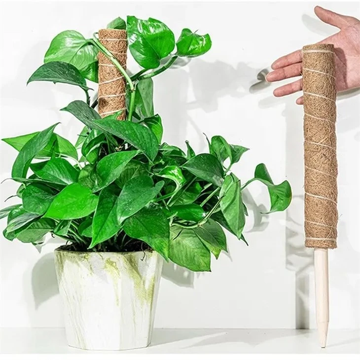 Garden Plant Support Stakes Moss Pole