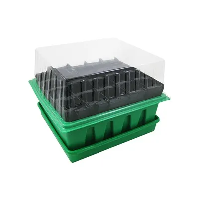 20 Cells Root-Protected Propagator