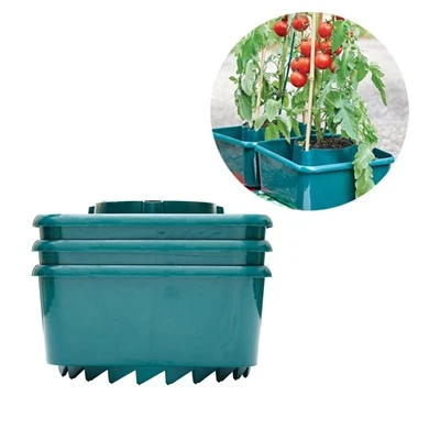 Stora Krukor För Tomatplantor